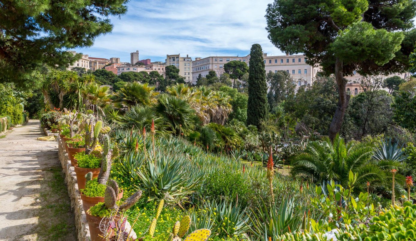 Orto Botanico di Cagliari, Cagliari, Italy, Italy